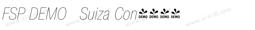 FSP DEMO   Suiza Con字体转换
